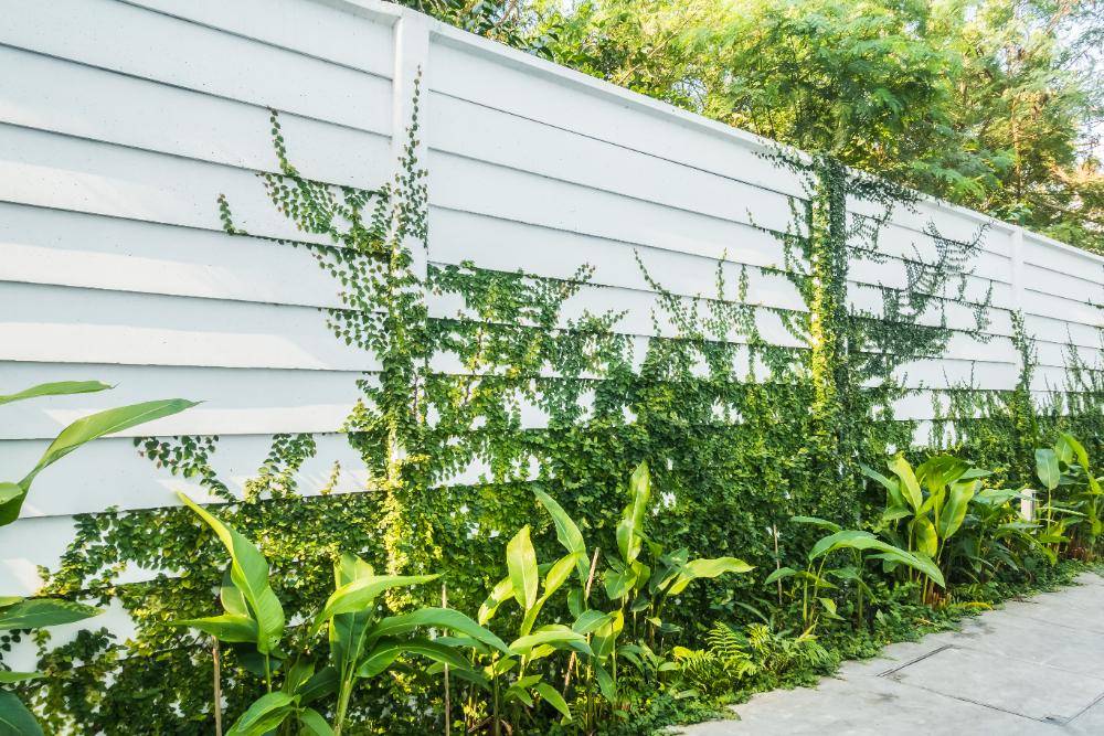 Smart Fence Installation in Surrey: Cool Tech Fences for 2025
