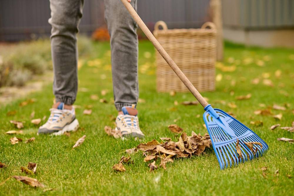 Expert Surrey Lawn Mowing for Residential and Business Properties