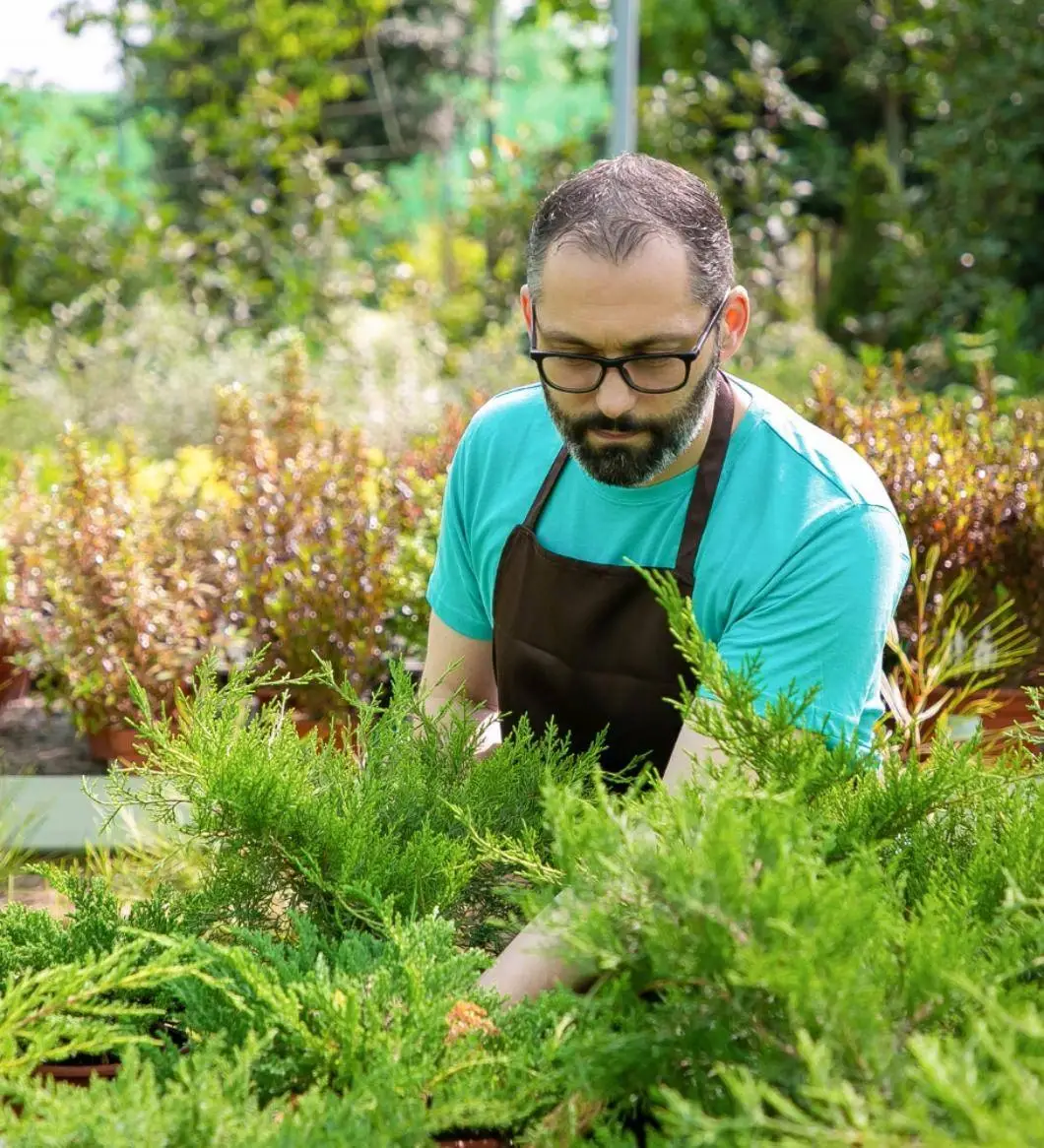 Residential and Commercial Landscaping Surrey