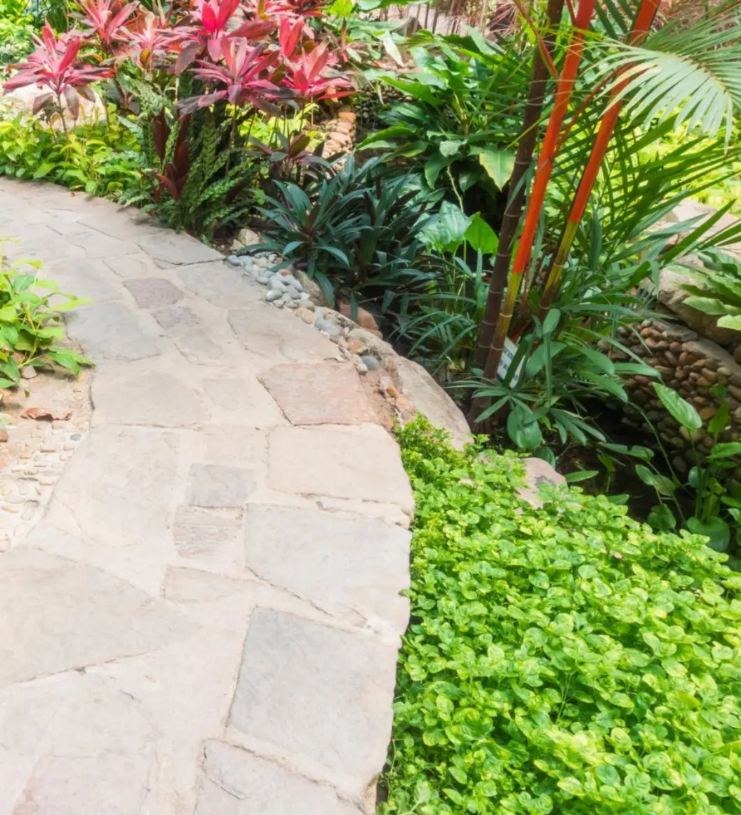 Affordable Lawn Mowing Services Near Me