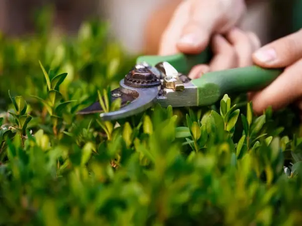 Project completed by Jawanda Group in a residential setting