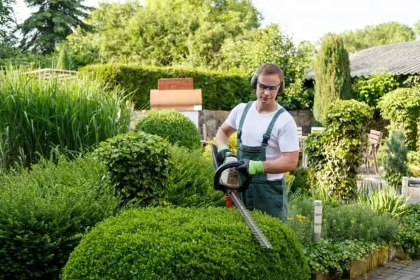 Hedge trimming services by Jawanda Group